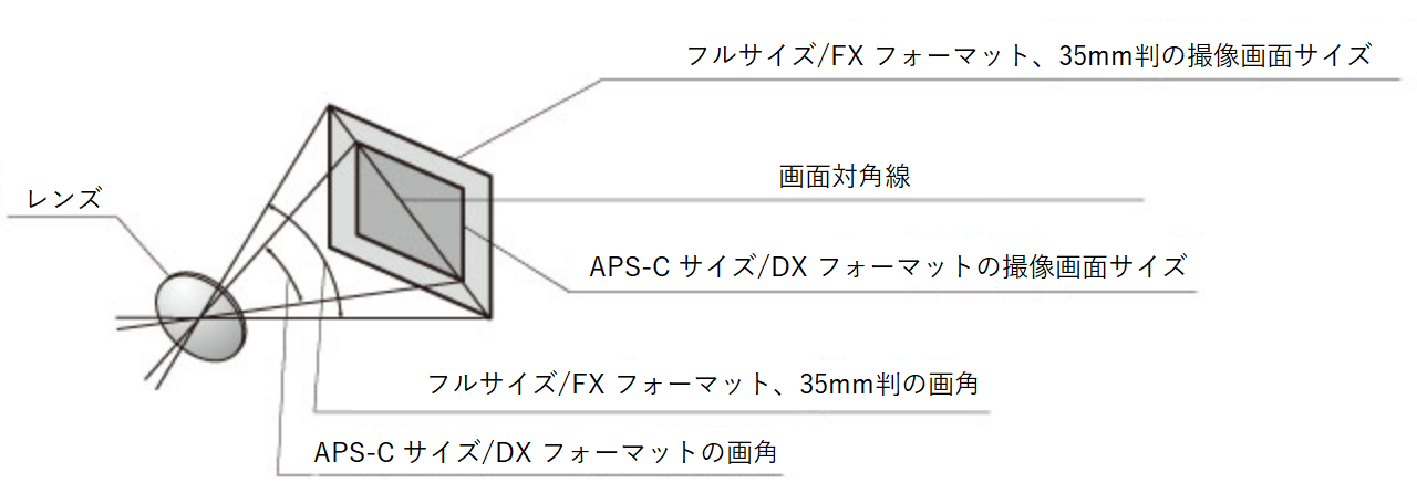 ユーザが追加した画像