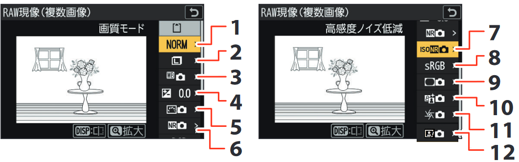 差し替えRAW現像（複数）.png